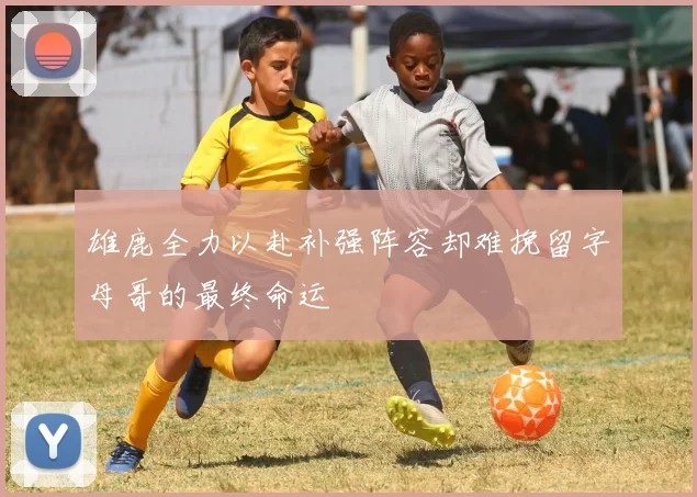 雄鹿全力以赴补强阵容却难挽留字母哥的最终命运