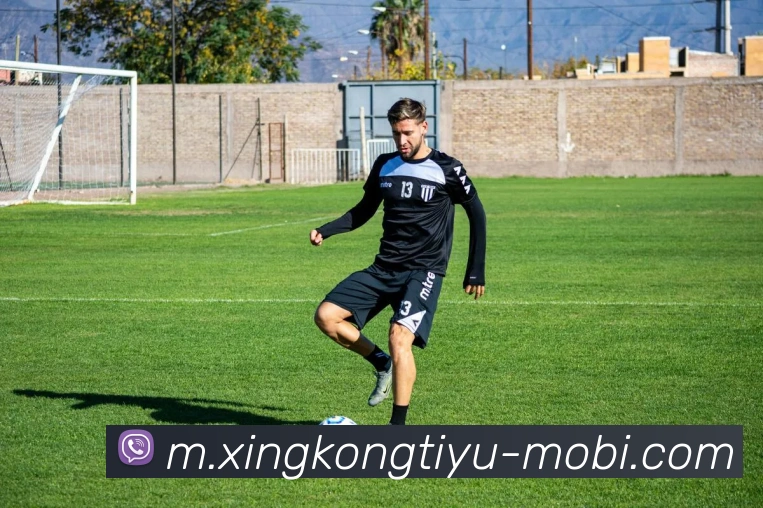 星空体育APP 封面图